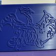 20210324_183700.jpg étui pour station d'accueil nintendo switch charizard