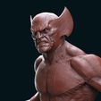 w3.jpg Statua di Wolverine