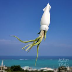 squid.jpeg Squid Air Plant Holder (FDM & SLA)