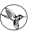 Circle-humming-bird.jpg Cool Humming Bird - Wall Art Decor