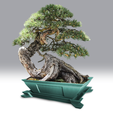thumb2.png Bonsai pot with tray - Print in Place, no supports