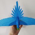 IMG_20240621_152434358.jpg Flying Macaw
