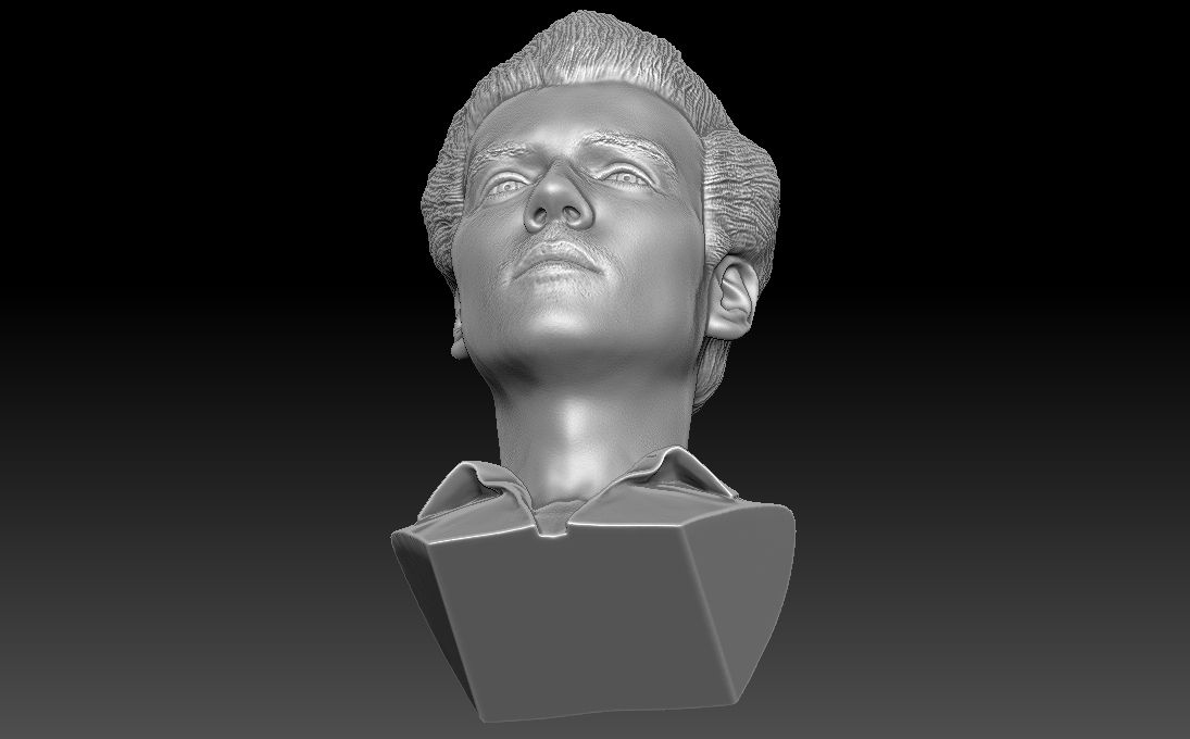 20.jpg Télécharger fichier Impression 3D du buste d'Harry Styles aux formats stl obj prêts à l'emploi • Design pour impression 3D, PrintedReality
