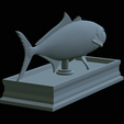 Greater-Amberjack-statue-39.png fish greater amberjack / Seriola dumerili statue detailed texture for 3d printing