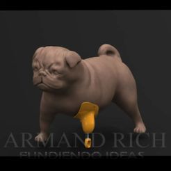 257793992_1434952683568959_7649925659539212402_n-1.jpg Fichier STL gratuit PROTHÈSE POUR CHIEN CARLIN・Plan imprimable en 3D à télécharger