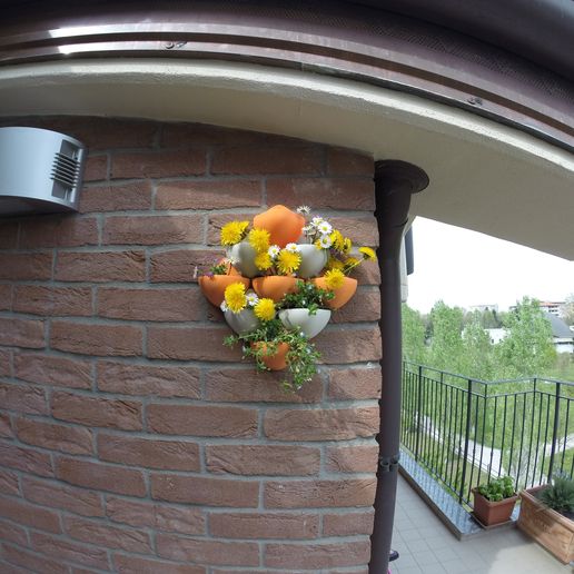 GOPR6154.JPG Vases for wall gardening