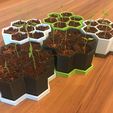 IMG_3778.jpg Mini Greenhouse