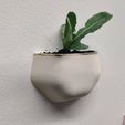 560213.jpg Happy Plant Buddy