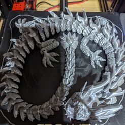 Flexi Print-in-Place Imperial Dragon, Aarrghh
