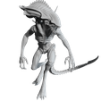 alien-predatorian1b.png Xenomorfo predatoriano #1