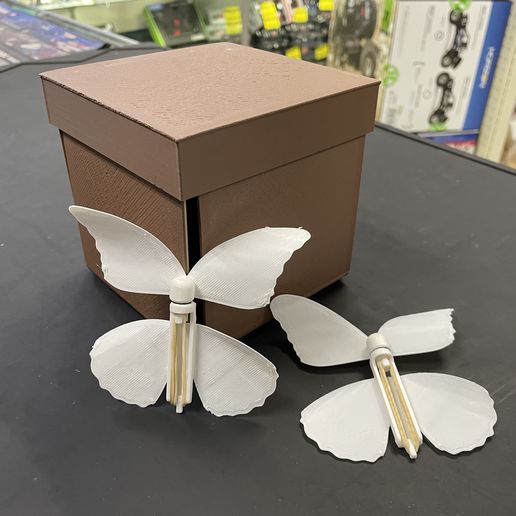 3D file Butterfly Box・3D printable model to download・Cults