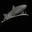 Grass-carp-1-20.png fish grass carp / Ctenopharyngodon idella / amur bílý statue detailed texture for 3d printing
