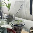 IMG_3231.jpeg Mini Cúpula de Humedad de Invernadero para Vasos de 0,3L - Accesorio para la Propagación de Plántulas y Clonación | Anillo de Cúpula para Plantas STL Imprimible