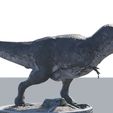 t rex8.jpg Realistic Dinosaurs T-Rex Tyrannosaurus Female  ( 2 Poses ) With Free Keychain