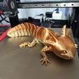 Bezaubernder Axolotl mit Gelenk, bedruckter Körper, einrastbarer Kopf, niedlicher Flexi