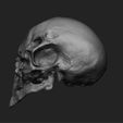 fabian-huwel-left.jpg Alien Birdman Skull