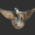 3ZBrush-Document.jpg Dove Holy Spirit