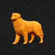 514-Australian_Shepherd_Dog_Pose_02.jpg Australian Shepherd Dog 3D Print Model Pose 02
