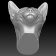 18.jpg Sphynx cat head for 3D printing