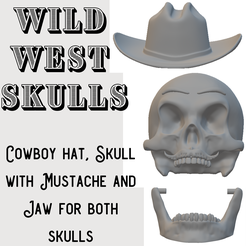 3.png Wild West Skulls Collection