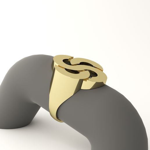 Infinity Signet Ring Descargar archivo Anillo de sello infinito • Modelo para la impresora ...