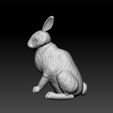 r3.jpg rabbit - realistic rabbit - decorative rabbit -rabbit toy