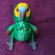 IMG_20240602_165719873.jpg Amazon Parrot Articulated Figure