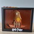 IMG20230717123645.jpg Harry Potter Shadow Box (A)