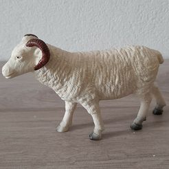 20230917_125811.jpg Sheep, 4 or 5 legs, + 1 new model 🐏