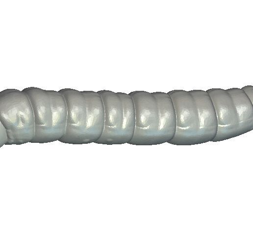 Bait No.312