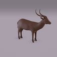 Antelope_R0005.jpg STL file Antelope・3D printing template to download, rmilushev