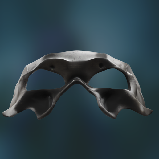 Screenshot-2025-03-07-at-11.23.42 AM.png Máscara Papa V Perpetua