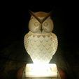 IMG_20180403_155634.jpg Owl LED Lamp