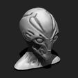 15.jpg Alien Bust 6 - Extraterrestrial Sculpture STL File 3D print