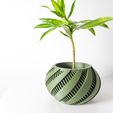 DSC06799.jpg The Krato Planter Pot with Drainage Tray & Stand Included: Modern and Unique Home Decor for Plants and Succulents  | STL File