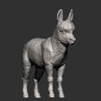 Donkey-baby8.jpg Modelo de impresión 3D de bebé burro