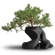 C.jpg Free STL file Bonsai Planter・3D print design to download