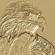 aquila_bassorilievo.jpg Bald Eagle Highrelief or lowrelief for cnc