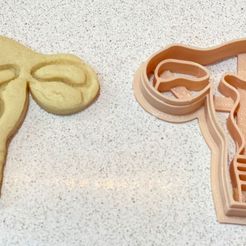 WhatsApp-Image-2022-06-02-at-9.08.14-PM.jpeg Fichier STL Utérus en forme de biscuit - organes humains・Modèle à télécharger et à imprimer en 3D