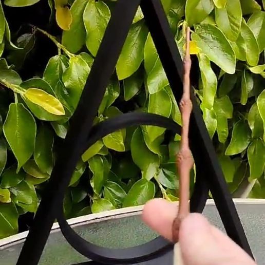 Imagen-de-WhatsApp-2023-11-15-a-las-01.10.19_afc776b4.jpg Deathly Hallows Harry Potter