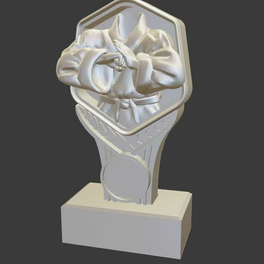 trofeo.jpg 空手道奖杯