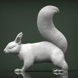 squirrel4.jpg Squirrel 3D print model