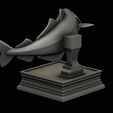 coalfish-open-mouth-statue-box-54.png COALFISH / POLLACHIUS VIRENS trophy with storage space for 3d printing