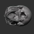 3.jpg sculpted human skull