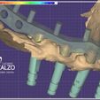 zzzzzzzzasas.jpg 3D Dental Laboratory Designs