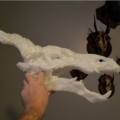 cf3e71ed8cbfe69f2a167aadc3cb1b78_preview_featured.jpg STL-Datei makerbot dragon skull for supersized print kostenlos・3D-Druck-Idee zum Herunterladen