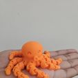 Cute Mini Octopus