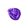 Heart 2.stl Realistic Human Heart