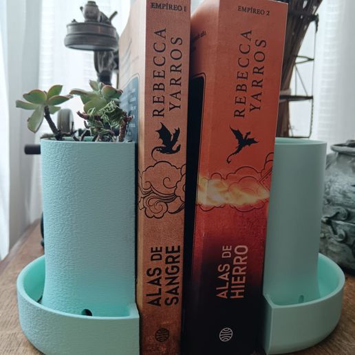 WhatsApp-Image-2024-06-10-at-15.32.21.jpeg Book End Planter