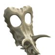 02.jpg Torosaurus skull in 3d